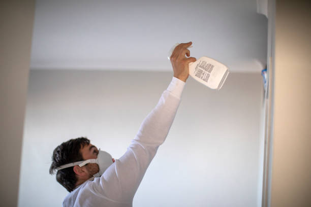 Best Emergency Mold Removal  in Odessa, MO