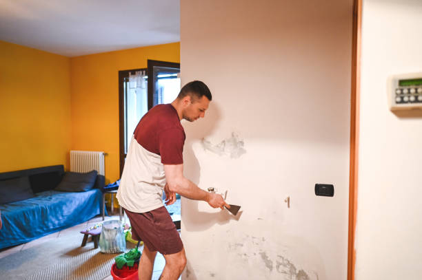 Reliable Odessa, MO Mold Removal Solutions