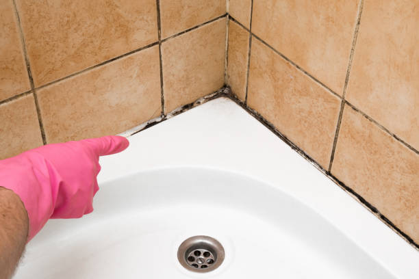 Best Crawl Space Mold Removal  in Odessa, MO